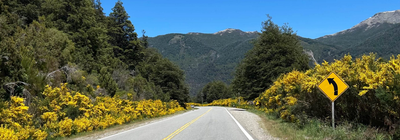 Mantención de Primavera: Prepara tu Auto Antes de que Llegue el Calor