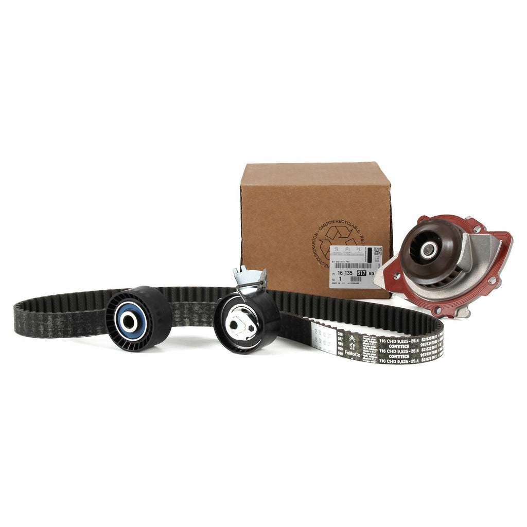 Kit Distribución + Bbagua Peugeot 308 3008 5008 Expert 2.0