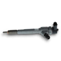 Inyector Common Rail BOSCH | Peugeot Landtrek 1.9L Changan Hunter ZX Terralord 2.5L