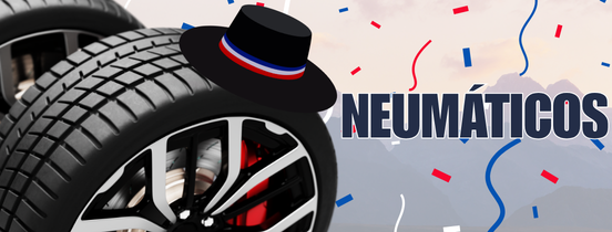 Neumáticos