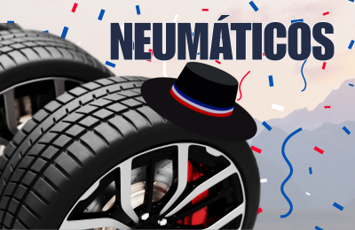 Neumáticos