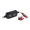 Cargador de Batería RIDEX 10A 6V/12V Mantenimiento Moto Auto Camión