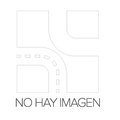 Absorbedor Impacto Parachoque Delantero Original Renault Duster 1.6 H4M 620904051R